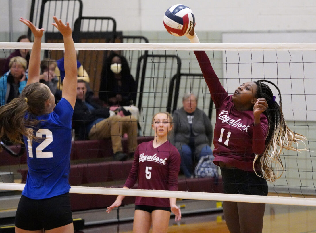 Loyalsock girls volleyball defeats South Williamsport 30 News